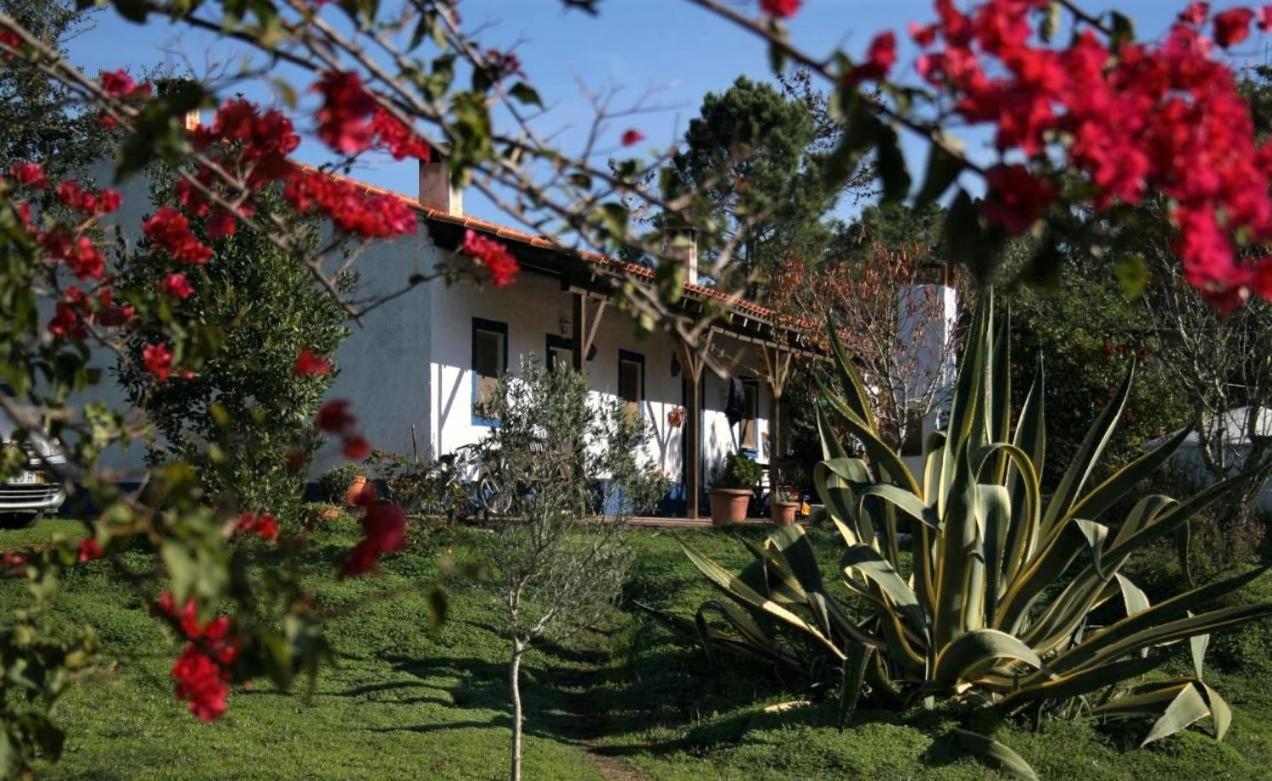Gasthaus Monte Da Choca São Teotónio Exterior foto